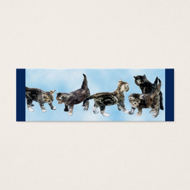 Cartes De Visite Kittens Mini Signet (Devant)
