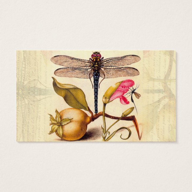 Cartes De Visite La faune de la libellule (Dos)