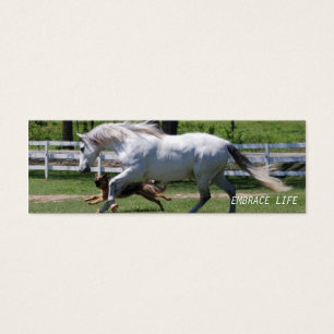 CARTES DE VISITE LA VIE D'ÉTREINTE DE CHEVAL ET DE CHIEN