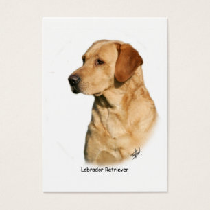 Cartes De Visite Labrador retriever jaune