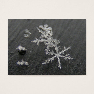 Cartes De Visite Lac de neige 49 ~ ATC