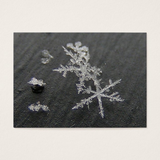 Cartes De Visite Lac de neige 49 ~ ATC (Devant)
