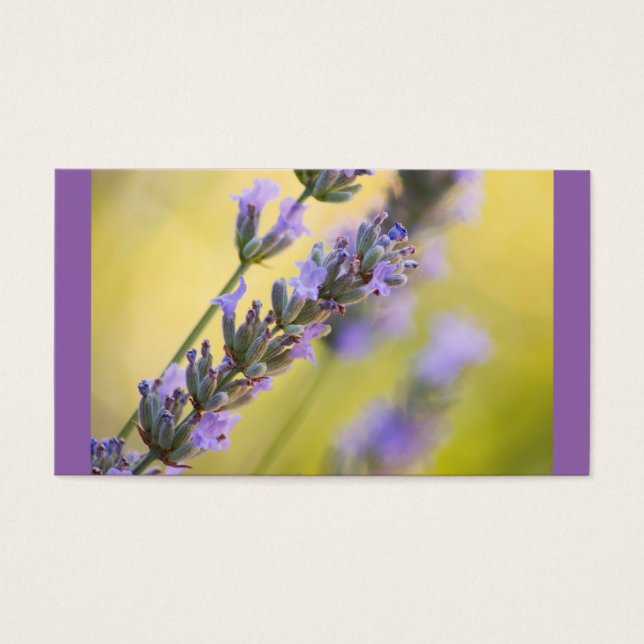 Cartes De Visite lavande douce (Devant)
