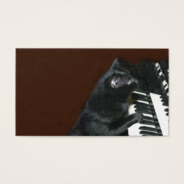 Cartes De Visite Le chat chaton noir joue de l'orgue (Devant)