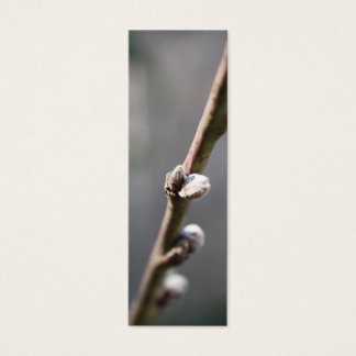 Cartes De Visite Le printemps est le prochain Signet