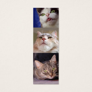 Cartes De Visite Le signet de Catlovers