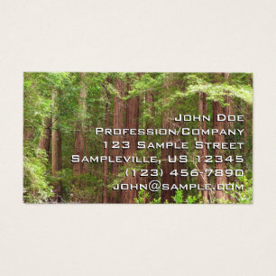 Cartes De Visite Les séquoias au monument national de Muir Woods