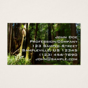 Cartes De Visite Les séquoias et les fougères du parc national Redw