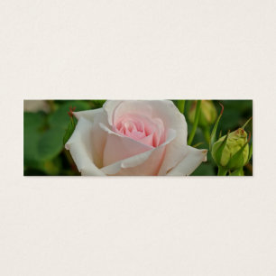 Cartes De Visite L'hybride rose d'Ophélie s'est levé