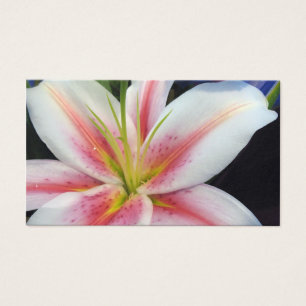 Cartes De Visite Lily