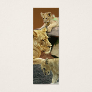 Cartes De Visite Lionne et signet de CUB mini/