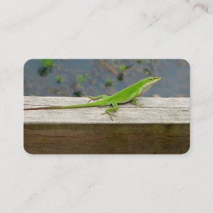 Cartes de visite Lizard