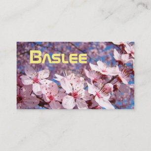 Cartes de visite LLC Entreprises de nom personnali