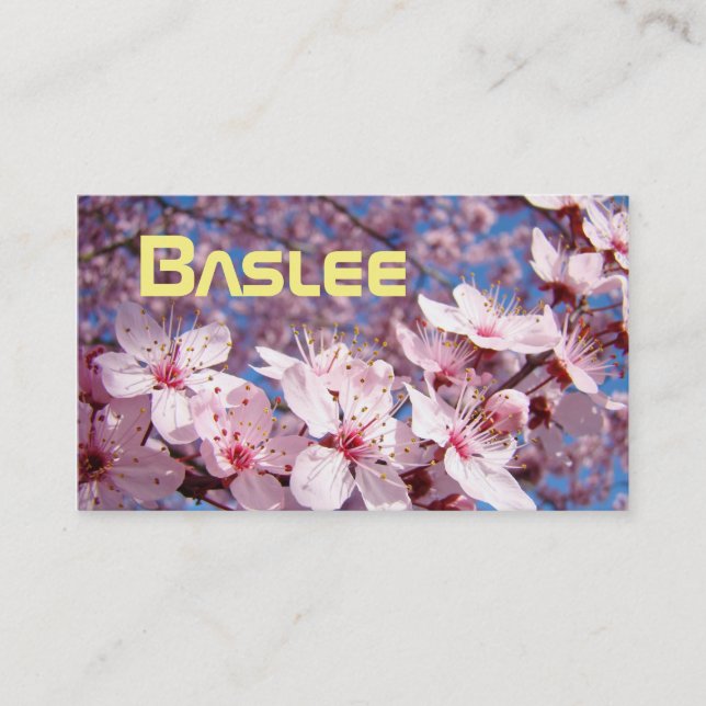 Cartes de visite LLC Entreprises de nom personnali (Devant)