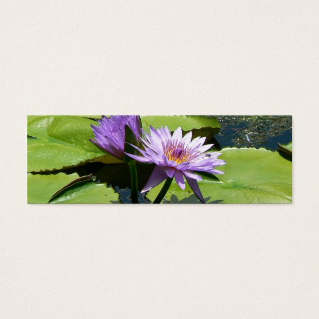 Cartes De Visite Lotus (Devant)