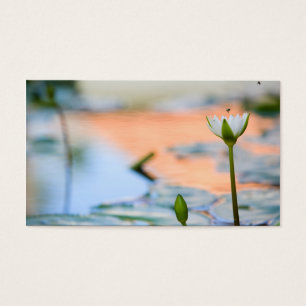 Cartes De Visite Lotus blanc