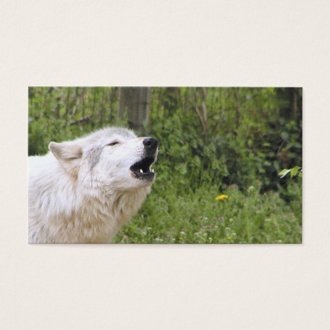 Cartes De Visite Loup de bois de canard 3 (Devant)