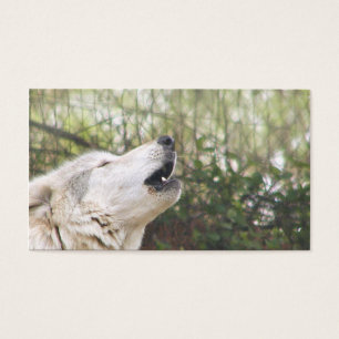 Cartes De Visite Loup gris d'hurlement