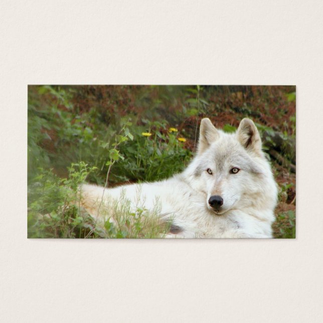 Cartes De Visite Loup gris ou bois (Devant)
