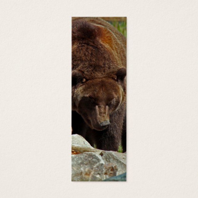 Cartes De Visite L'ours d'un Signet (Devant)