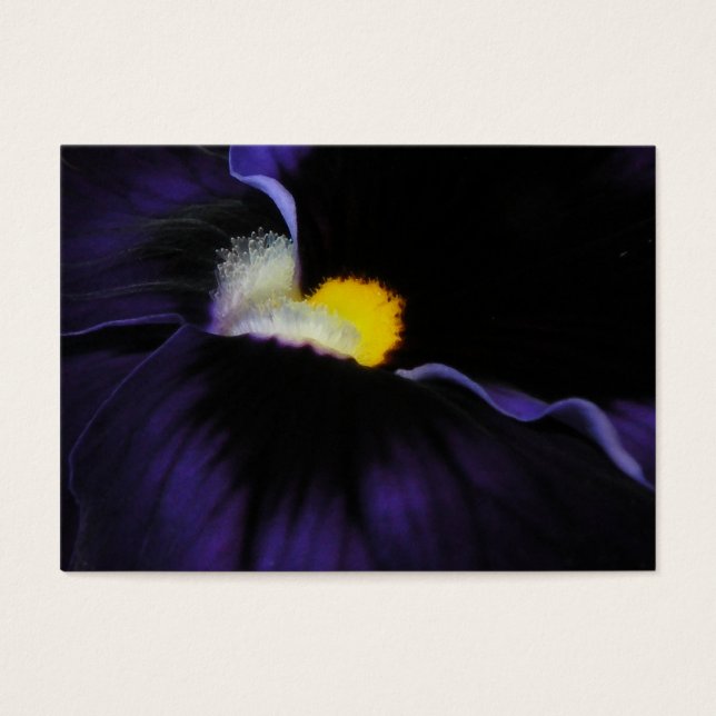 Cartes De Visite Macro Viola violet ATC 2 (Devant)