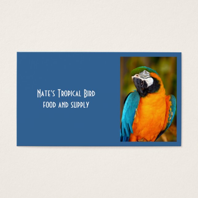 Cartes De Visite Majestic Macaw (Devant)