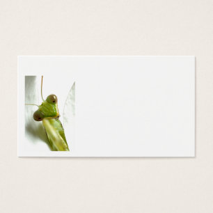 Cartes De Visite Mantides