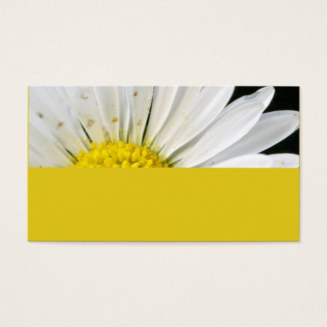 Cartes De Visite Margerite (Devant)