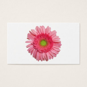 Cartes De Visite Marguerite rose de Gerbera