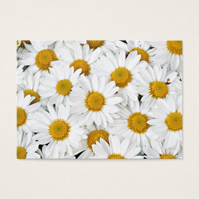 Cartes De Visite Marguerites (Devant)