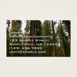 Cartes De Visite Mariposa Grove dans le parc national de Yosemite