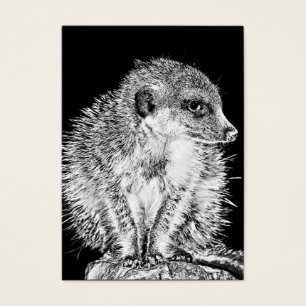 Cartes De Visite Meerkat, noir et blanc