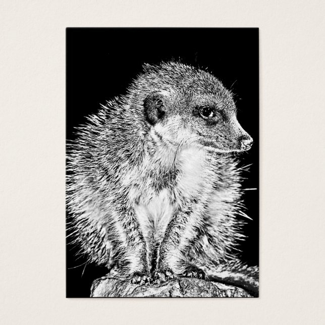 Cartes De Visite Meerkat, noir et blanc (Devant)