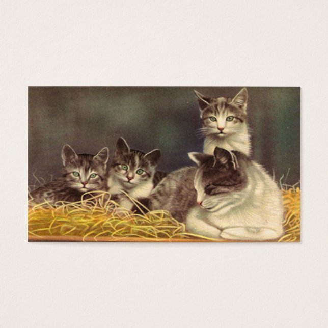 Cartes De Visite Mère Chat et chatons (Devant)