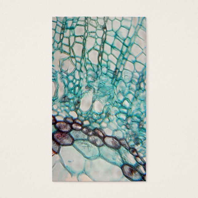 Cartes De Visite micrographie des cellules plantes (Devant)
