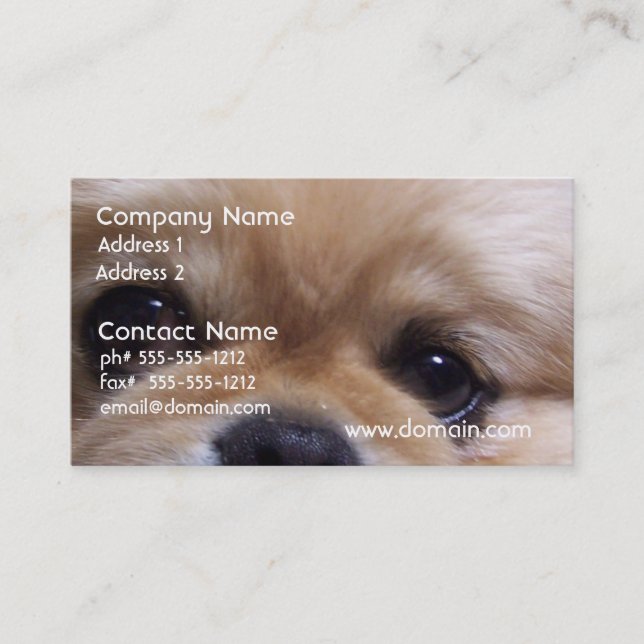 Cartes de visite mignons de chiot de Pekingese (Devant)