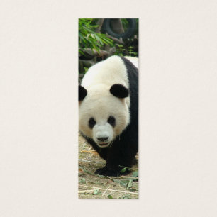 Cartes De Visite Mini-signet de panda géant
