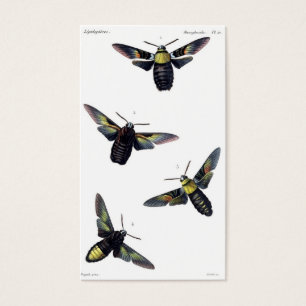 Cartes De Visite Mites victoriennes