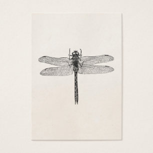 Cartes De Visite Modèle américain vintage de mouche de dragon de