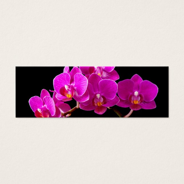 Cartes De Visite Modèle d'orchidées roses chaudes Dendrobium Orchid (Devant)