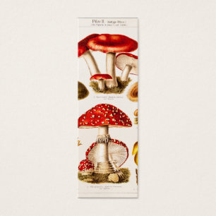 Cartes De Visite Modèle vintage de variété de champignon de 1800