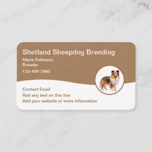 Cartes de visite modernes pour éleveurs de Sheltie