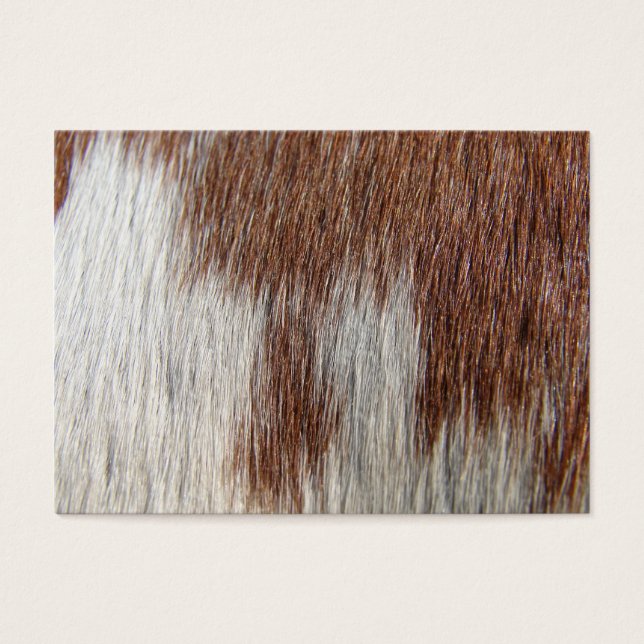 Cartes De Visite Motif Paint Horse (Devant)