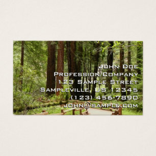 Cartes De Visite Muir Woods Chemin I Nature Photographie