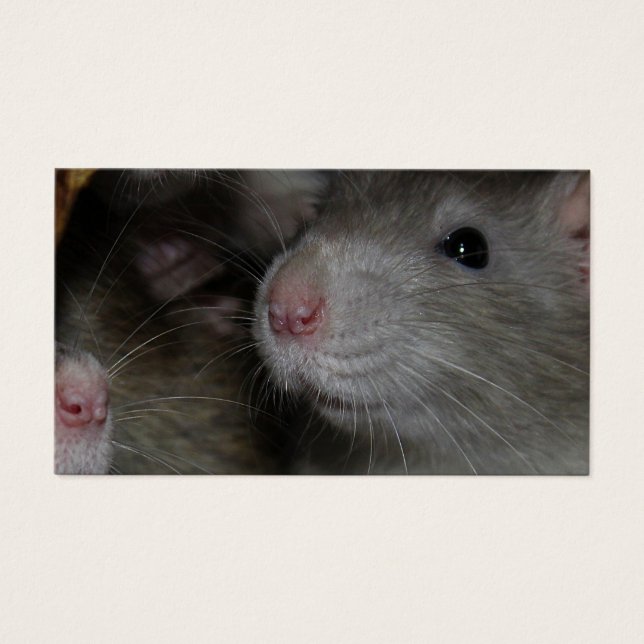Cartes De Visite Nez minuscule (Devant)