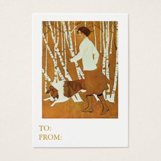 Cartes De Visite Oiseaux