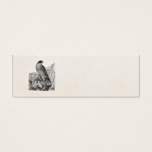 Cartes De Visite Oiseaux personnalisés vintages de faucon pérégr
