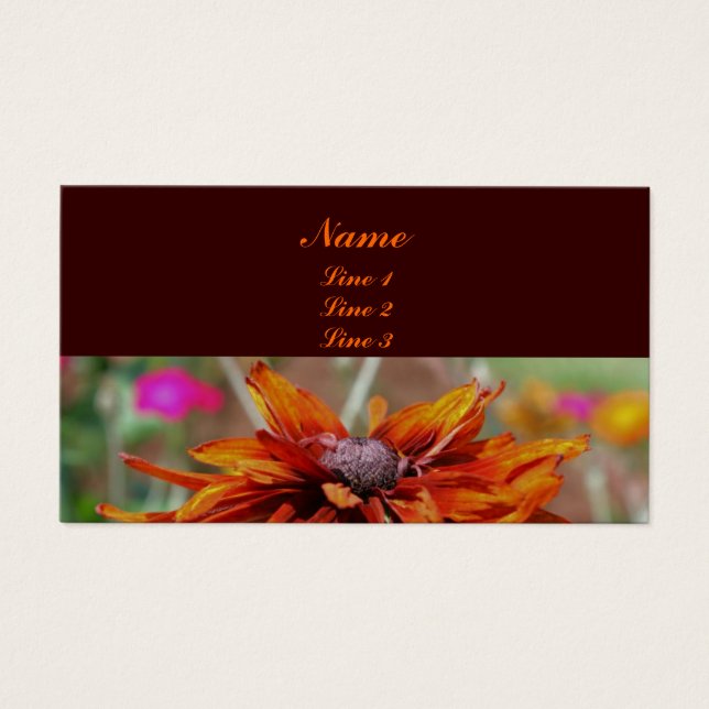 Cartes De Visite Orange Black Eyed Susan Daisy Flower (Devant)