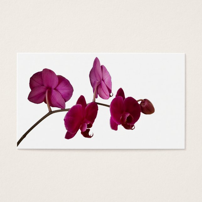 Cartes De Visite Orchidée à Dendrobium rose chaud - Arrière - plan  (Devant)