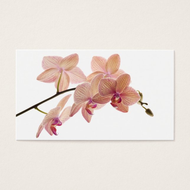 Cartes De Visite Orchidée Dendrobium rose et Pêche - Customisée (Devant)